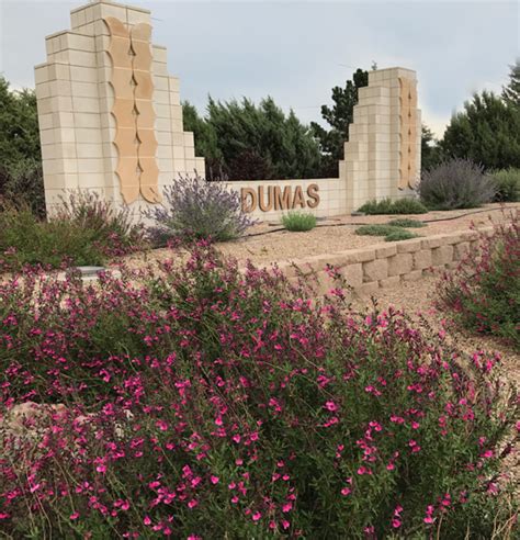 Things to Do, Events & Places to Stay in Dumas, TX.